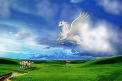 Pegasus Desktop Backgrounds HD Wallpapers
