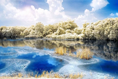 White Wolf Wallpapers And Images   Wallpapers, Pictures, Photos