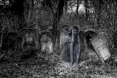 Horror Skull Wallpapers