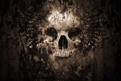 HD Skull Wallpapers   Wallpapers Cave