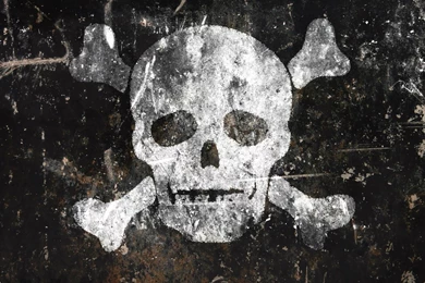 Pic New Posts: Skull Wallpapers Borders
