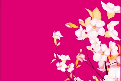 Wallpapers Mart: Beautiful Flower Wallpapers