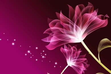 45 HD Beautiful Wallpapers/Backgrounds For Free Download