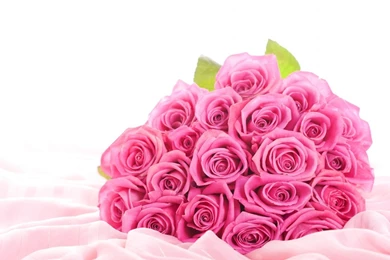 Pink Flowers Wallpapers HD Pictures