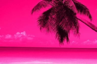 Pink Wallpapers On Pinterest