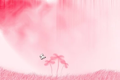 Pink Wallpapers   HDWPlan