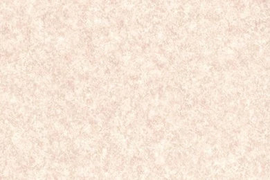 989 32847 Beige Subtle Texture   Reine   Mirage Wallpapers