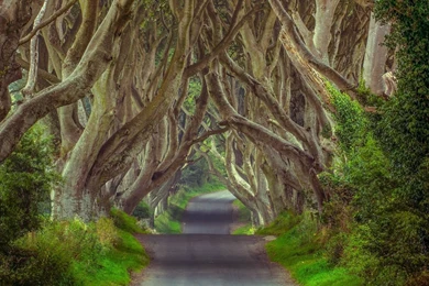 Village, Northern Ireland 1920x1080 (1080p)   Wallpapers   HD ...