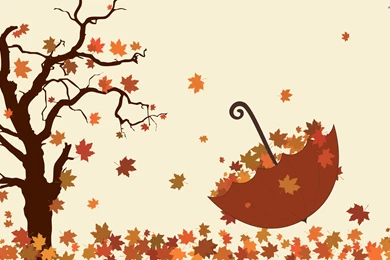 Umbrella And Fallen Leaves Wallpapers   Vector Wallpapers
