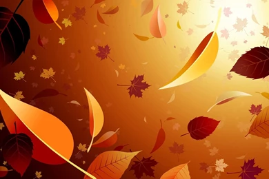 Falling Leaves Wallpapers   Free Wide HD Wallpapers