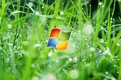 Nishita » Archives » Microsoft Vista Official Wallpapers Pack