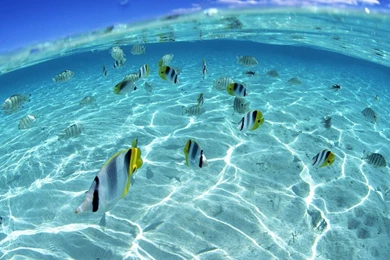 2015 09 24   Page 200