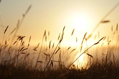 Day 352: Being Put To The Test, Sue Chat, Kan Chat, Kat Chat… And ...