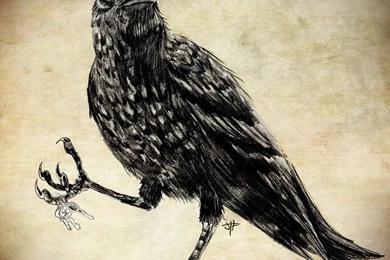 Bon Iver Crow By JTF3 On DeviantArt
