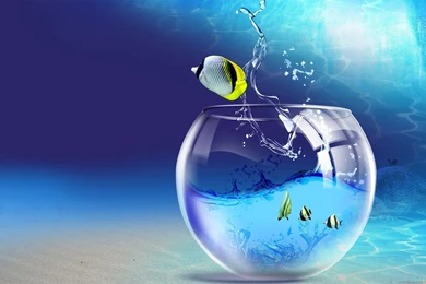 Beautiful Image Wallpapers HD