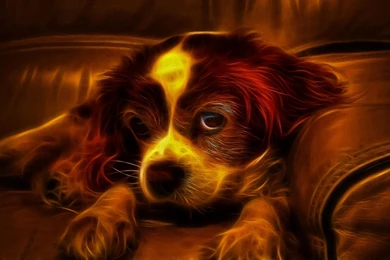 3D WALLPAPER HIGH DEFINITION WALF1003