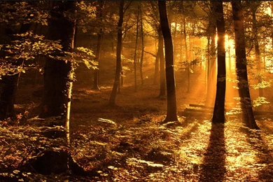 High Resolution Wallpapers 17   Best Wallpapers Collection