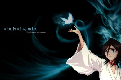Kuchiki Rukia Wallpapers By NyuNyuu On DeviantArt