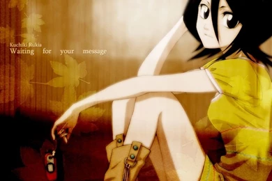 Anime, Bleach, Otaku, Otome, Rukia   Inspiring Picture On Favim ...