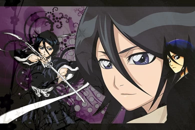 Bleach Rukia Kuchiki   HisBir