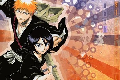 Ichigo Rukia Wallpapers   Wallpapers Cave