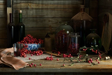 Still Life HD Wallpaper, Still Life Backgrounds