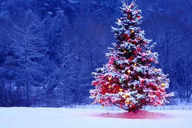 Christmas HD Wallpapers