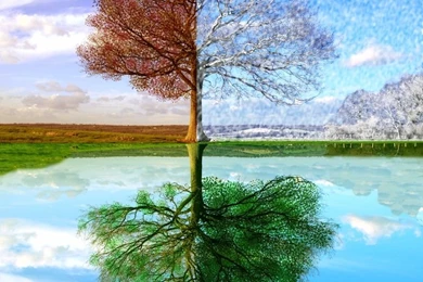 Free Seasons Wallpapers And Backgrounds ~ Toptenpack.com