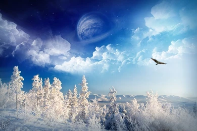 White Snow Wallpapers