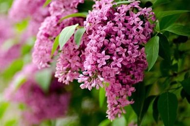 Seasons Wallpapers Pictures