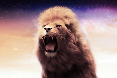 OSX Lion