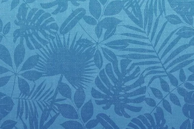 Shapes － From OS X Mountain Lion