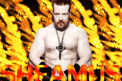 Sheamus Wallpapers
