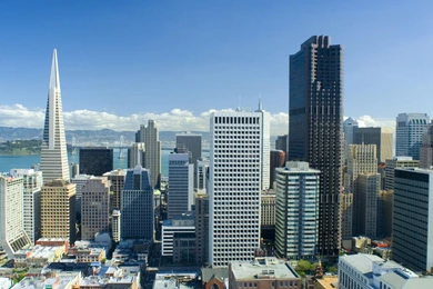SAN FRANCISCO SKYLINE8.jpg
