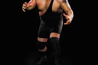 Wwe Superstars Wallpapers   HD Desktop Backgrounds