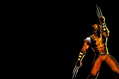 322 Wolverine HD Wallpapers