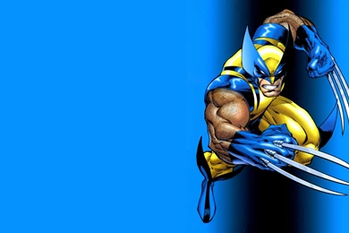 Wolverine Computer Wallpapers, Desktop Backgrounds