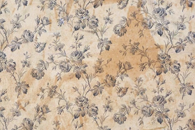 Wallpaper: Health And Cleanliness   Victoria And Albert Museum