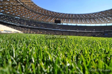 336635_nsk olimpijskij_ukrayina_futbol_stadion_2048x1360_www.Gde Fon.com.jpg