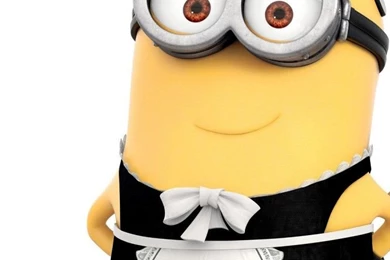 Minion Housemaid Wallpapers 768x1280   Wallpapers   Wallpapers Style