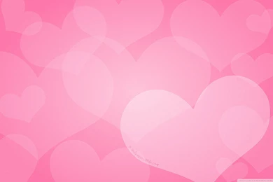Happy Valentine's Day Wallpapers Full HD [2560x1600]   Free ...