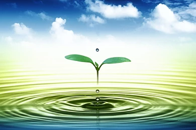 3D Leaf Water Drop HD