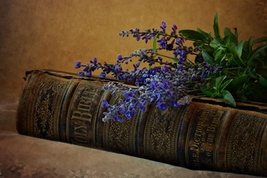 14 Bible HD Wallpapers