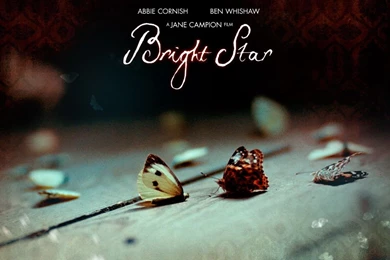 Wallpapers   Bright Star Wallpapers (9609373)   Fanpop