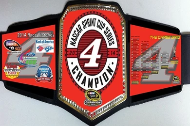 2014   Welcome To Belts For The True Fan!