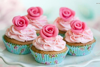 Rose Cupcakes Wallpapers   Photography Wallpapers