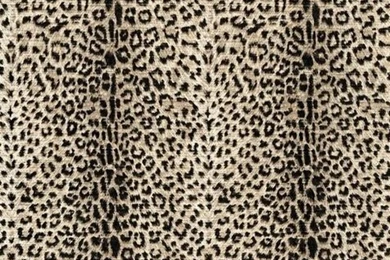 Cheetah Print Wallpapers   Discount Wallcovering