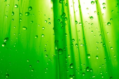 Latest HD Wallpapers