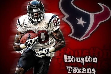 Andre Johnson Wallpapers 4.jpg
