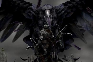 Raven HD Wallpaper, Raven Bird Images